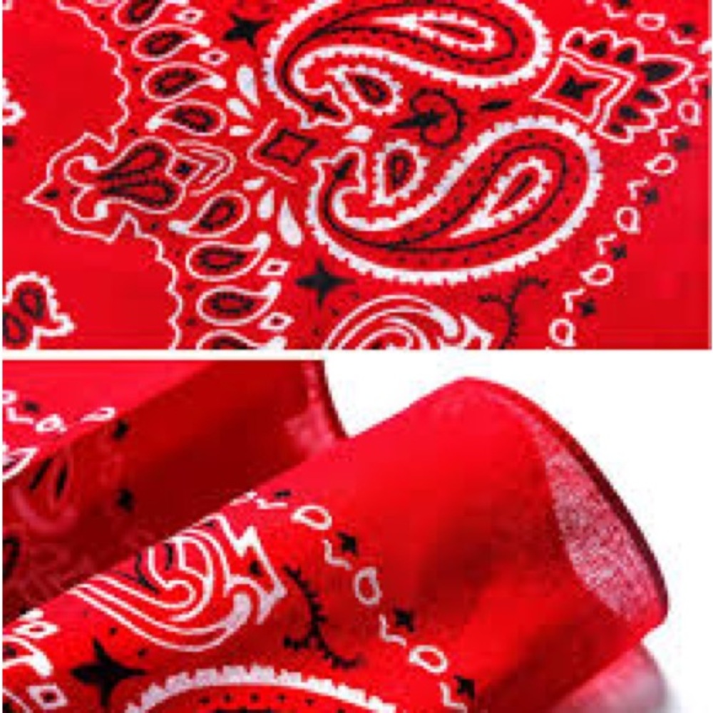 Red Paisley Bandana